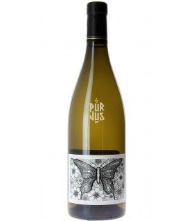 Originel - 2023 - Julien Courtois