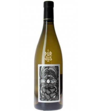 Autochtone - 2022 - Julien Courtois