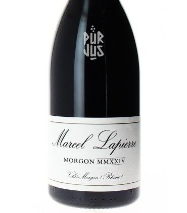 Morgon Cuvée Marcel Lapierre - 2024 - Domaine Lapierre - Magnum