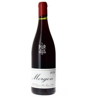 Morgon - 2024 - Domaine Lapierre