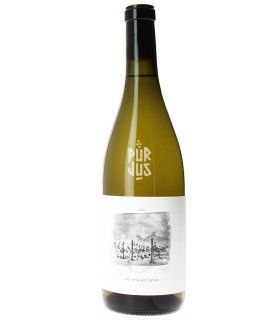 Les Longues Lignes - 2024 - La Grange de l'Oncle Charles