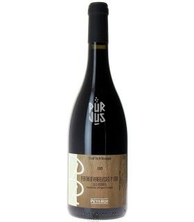Pernand Vergelesses 1er Cru Les Fichots - 2021 - Seiichi Saito
