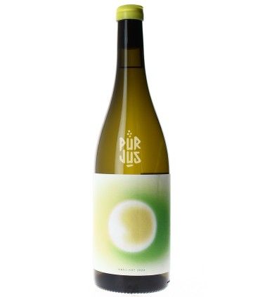 Narcisse - 2024 - La Micro Winerie