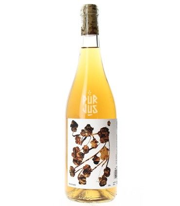 Peaurange - 2024 - Léonine