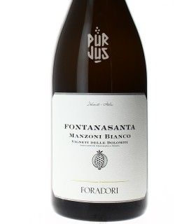 Fontanasanta Manzoni Bianco - 2024 - Azienda Agricola Foradori - Magnum