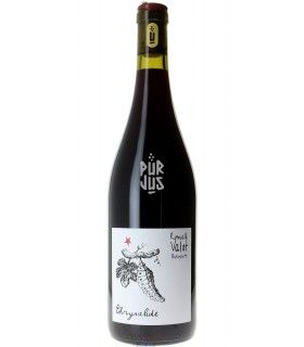 Chrysalide - 2023 - Romuald Valot