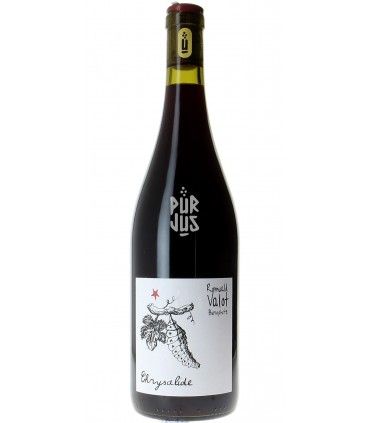 Chrysalide - 2023 - Romuald Valot