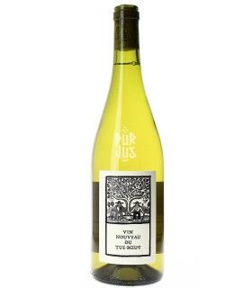 Vin Blanc Nouveau - 2025 - SARL Le Clos du Tue Boeuf