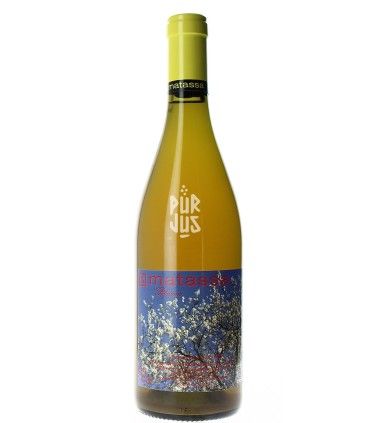 Blossom - 2024 - SCEA Domaine Matassa