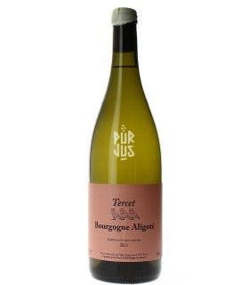 Bourgogne Aligoté - 2023 - Tercet