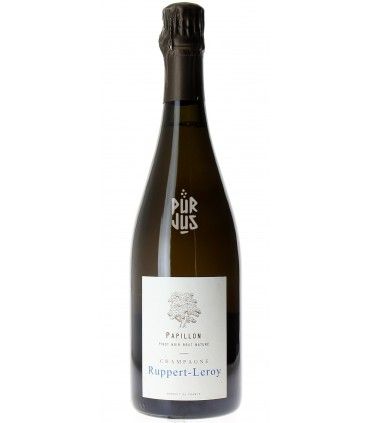 Papillon - 2019 - Bénédicte Ruppert et Emmanuel Leroy