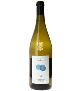 Reflets - 2024 - La Ferme des Confluences