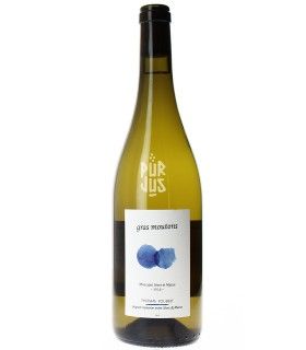 Gras Moutons - 2023 - La Ferme des Confluences