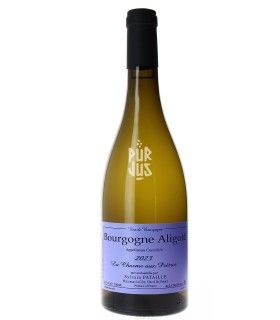 Bourgogne Aligoté "La Charme aux Prêtres" - 2023 - Sylvain Pataille