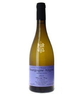 Bourgogne Aligoté "Clos du Roy" - 2023 - Sylvain Pataille