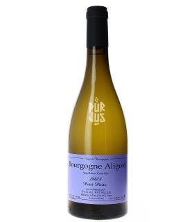Bourgogne Aligoté "Petits Puits" - 2023 - Sylvain Pataille
