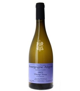 Bourgogne Aligoté "Champ Forey" - 2023 - Sylvain Pataille