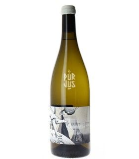 Giant Step - 2023 - Ludovic Archer