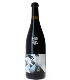 Feston - 2023 - Ludovic Archer