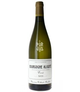 Bourgogne Aligoté "Doré" - 2023 - Domaine Maxime Dubuet-Boillot