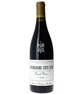 Bourgogne Côte d'Or - 2023 - Domaine Maxime Dubuet-Boillot