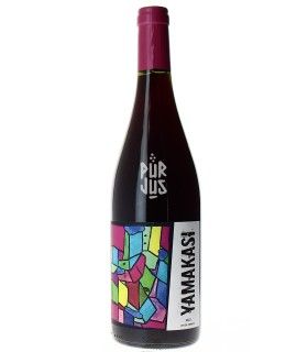 Yamakasi - 2022 - Duseigneur