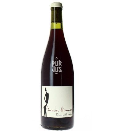Pineau d'Aunis - 2023 - Hervé Villemade