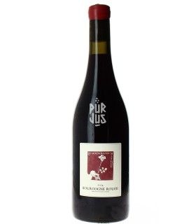 Bourgogne Rouge - 2024 - Le Vendangeur Masqué