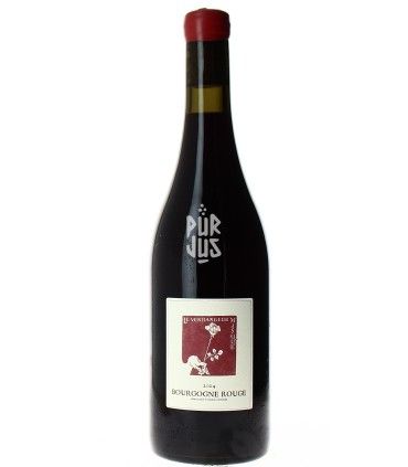 Bourgogne Rouge - 2024 - Le Vendangeur Masqué