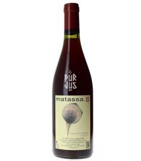 French Disko - 2024 - SCEA Domaine Matassa