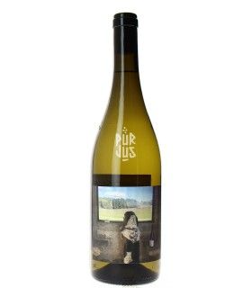 Tobias Branco - 2025 - Quinta de Saes