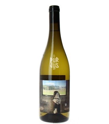 Tobias Branco - 2025 - Quinta de Saes