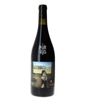 Tobias Tinto - 2022 - Quinta de Saes