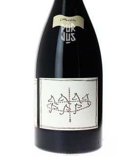 Carrocel - 2022 - Quinta da Pellada - Magnum