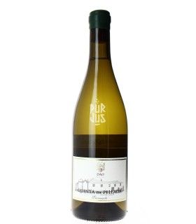Encruzado Late Release - 2023 - Quinta da Pellada
