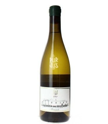 Encruzado Late Release - 2023 - Quinta da Pellada