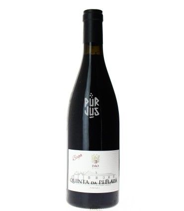 Baga - 2020 - Quinta da Pellada