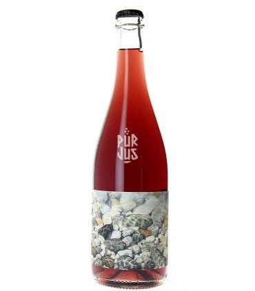 Bili War Ziribin - 2025 - Tizh