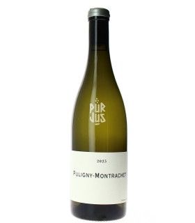 Puligny Montrachet - 2023 - Frédéric Cossard