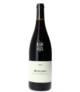 Mercurey "Les Vignes Blanches" Qvevris - 2023 - Frédéric Cossard