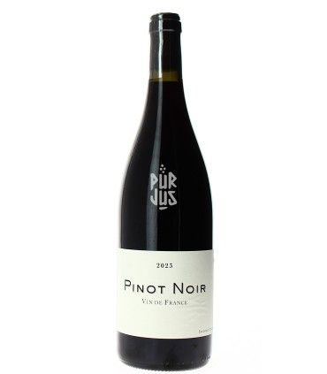 Pinot Noir - 2023 - Frédéric Cossard