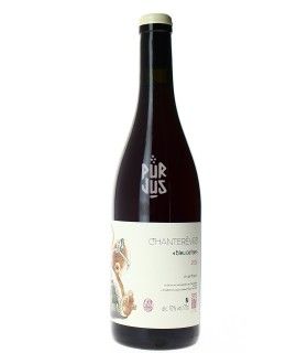 Bleu Cerise - 2024 - Chanterêves