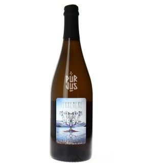 Terremere - 2024 - La Combe aux Rêves