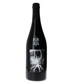Vin pieds sous terre - 2023 - La Combe aux Rêves
