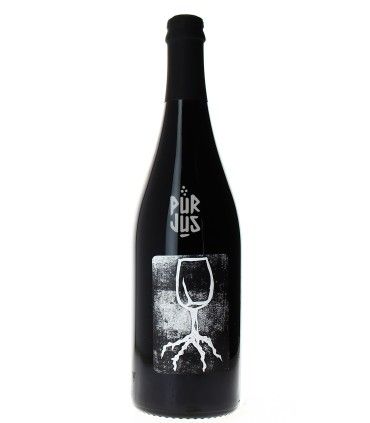 Vin pieds sous terre - 2023 - La Combe aux Rêves