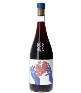 Ceci n'est pas que du Cinsault - 2025 - Bois d'Arlène