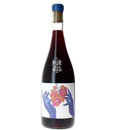 Ceci n'est pas que du Cinsault - 2025 - Bois d'Arlène