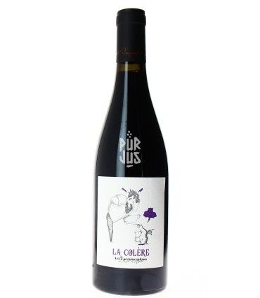 La Colère - 2025 - David Reynaud