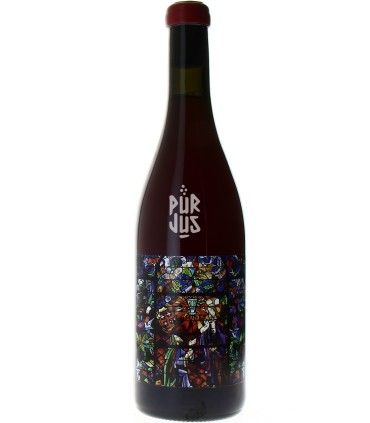 Aquilae - 2024 - Vignoble de l’Ecu