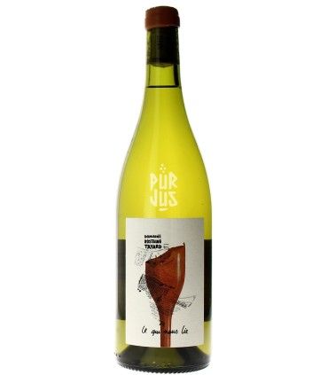 Ce qui nous lie - 2025 - Domaine Rostaing-Tayard
